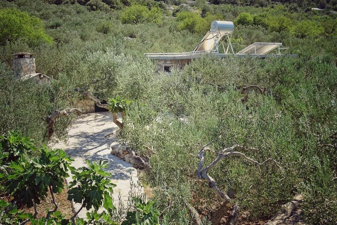 Secluded Holiday House Povlja, Brac - 14500 Extérieur photo